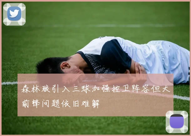 森林狼引入三球加强控卫阵容但大前锋问题依旧难解