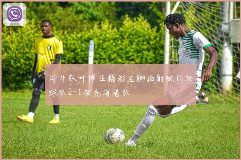 海牛队叶博亚精彩左脚抽射破门助球队2-1领先海港队