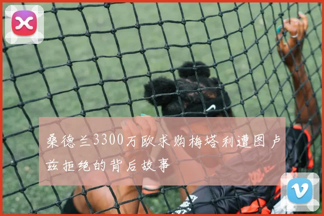 桑德兰3300万欧求购梅塔利遭图卢兹拒绝的背后故事