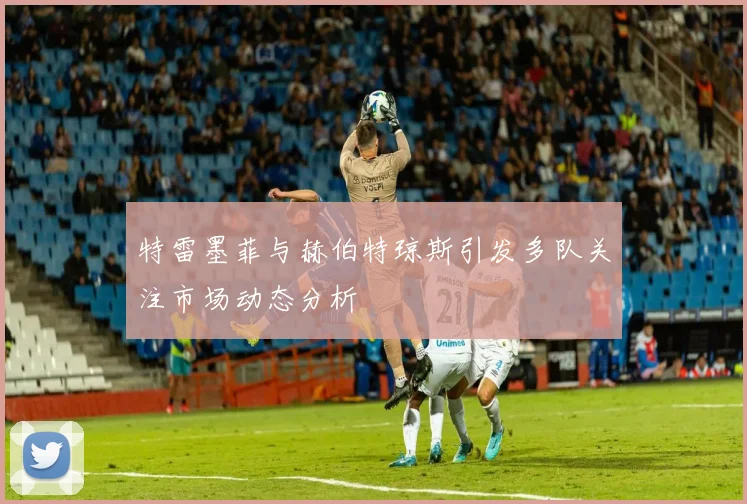 特雷墨菲与赫伯特琼斯引发多队关注市场动态分析